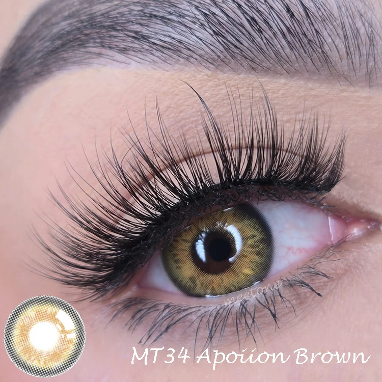 MT34 Apoiion Brown.jpg