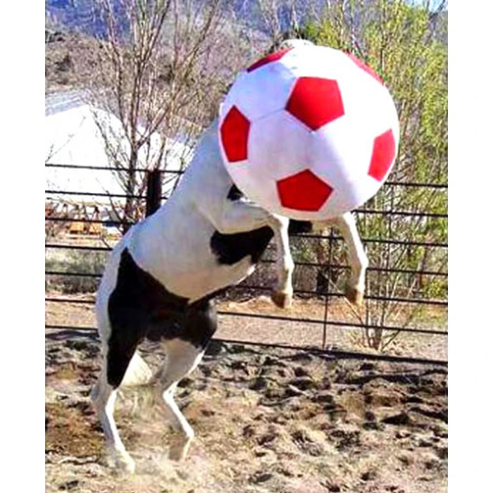 High quality Horse play Soccer Ball and ball cover with Pump Included