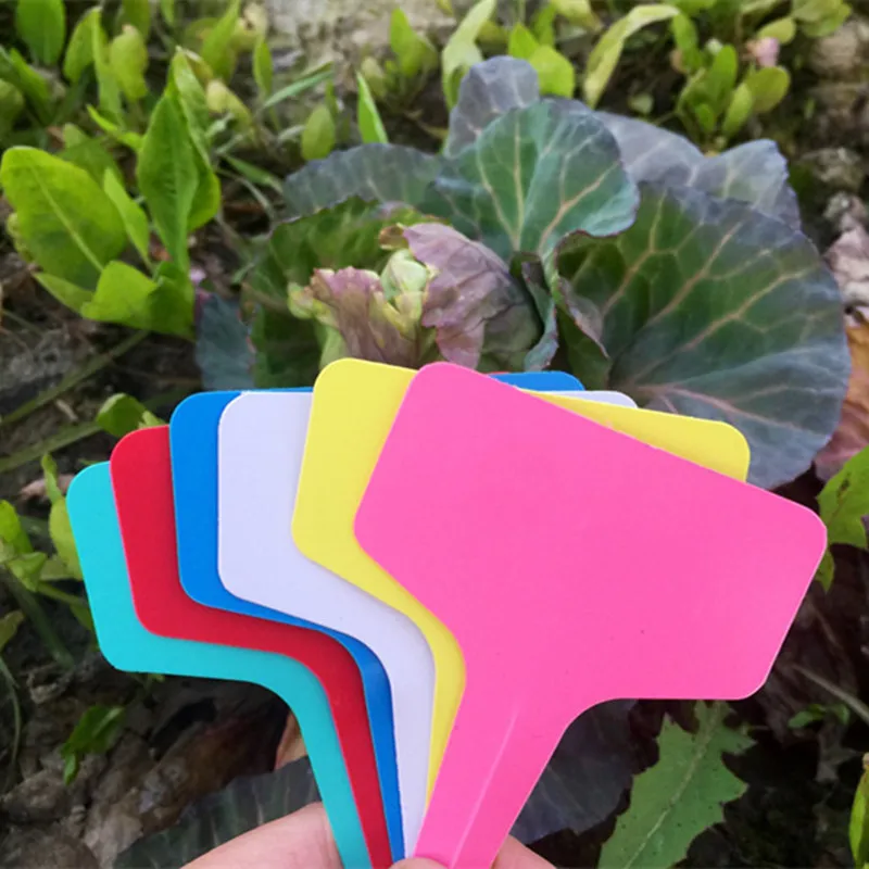 Cheap PVC short plant labels T shape design plastic label tag for garden