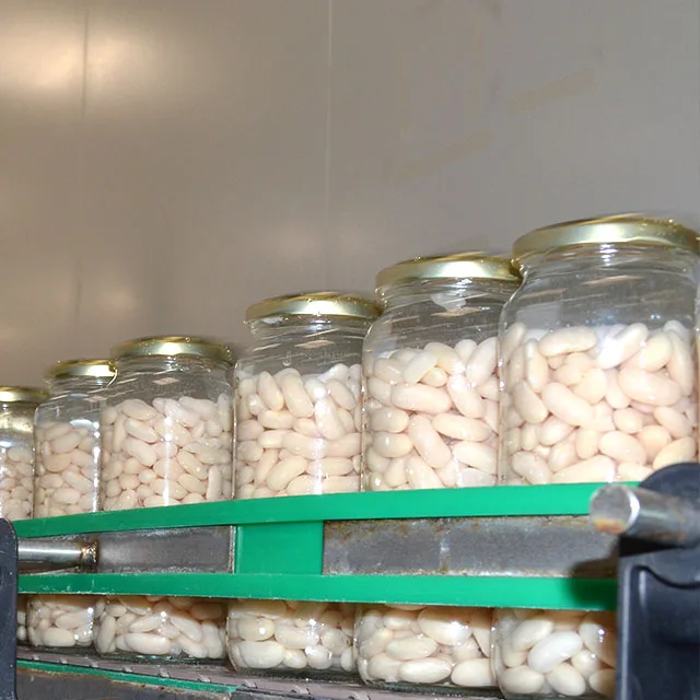 Quality Guarantee Private Label 1Kg Spain Gluten Free Legumes Preserves Lima Beans  Packed With Food Grade Jar