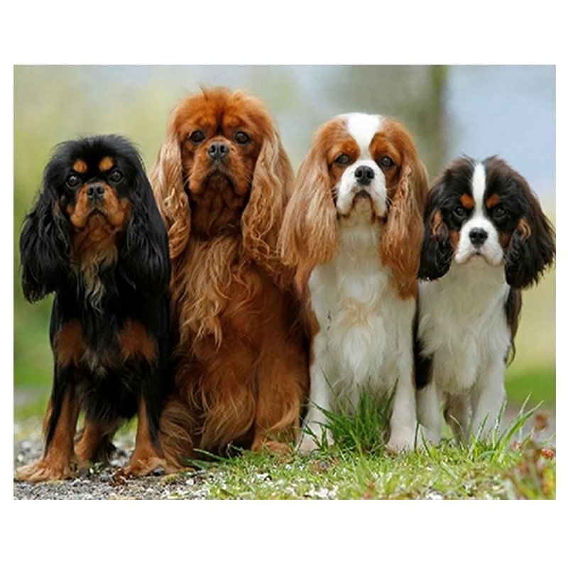 
QIQI GIRL 40x50 custom full diamond painting supplier 5D square/round animal pet dog family art mosaic 