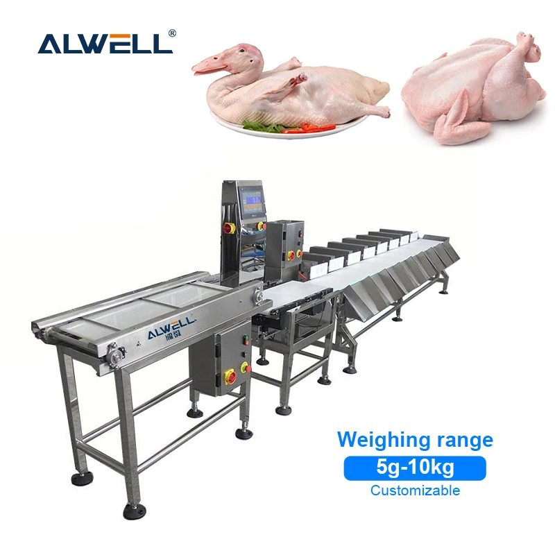 High precision shrimp sorting machine full automatic dynamic conveyor belt fish weight sorting machine