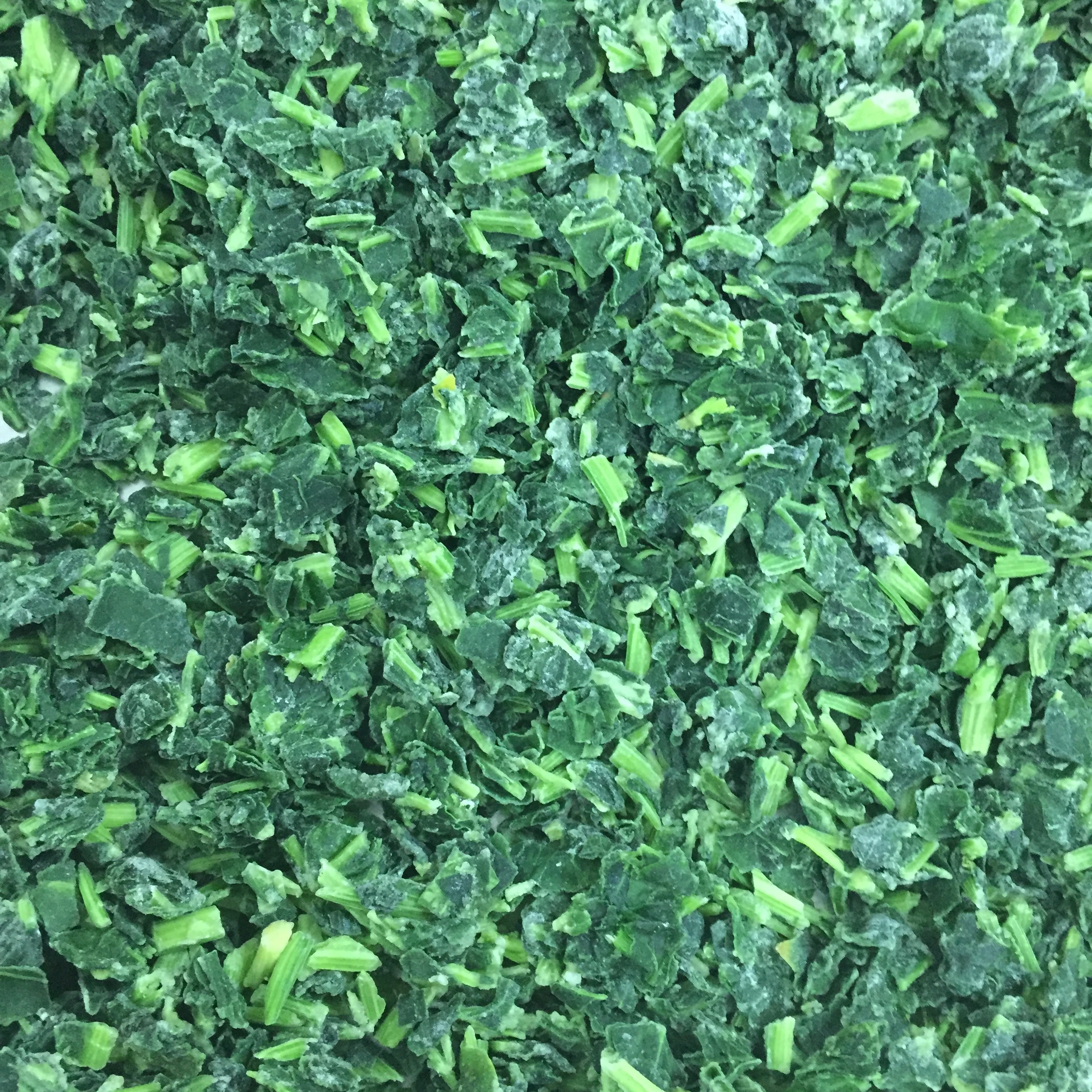 NEW SEASON FRESH SPINACH FROZEN CHOPPED SPINACH IQF SPINACH