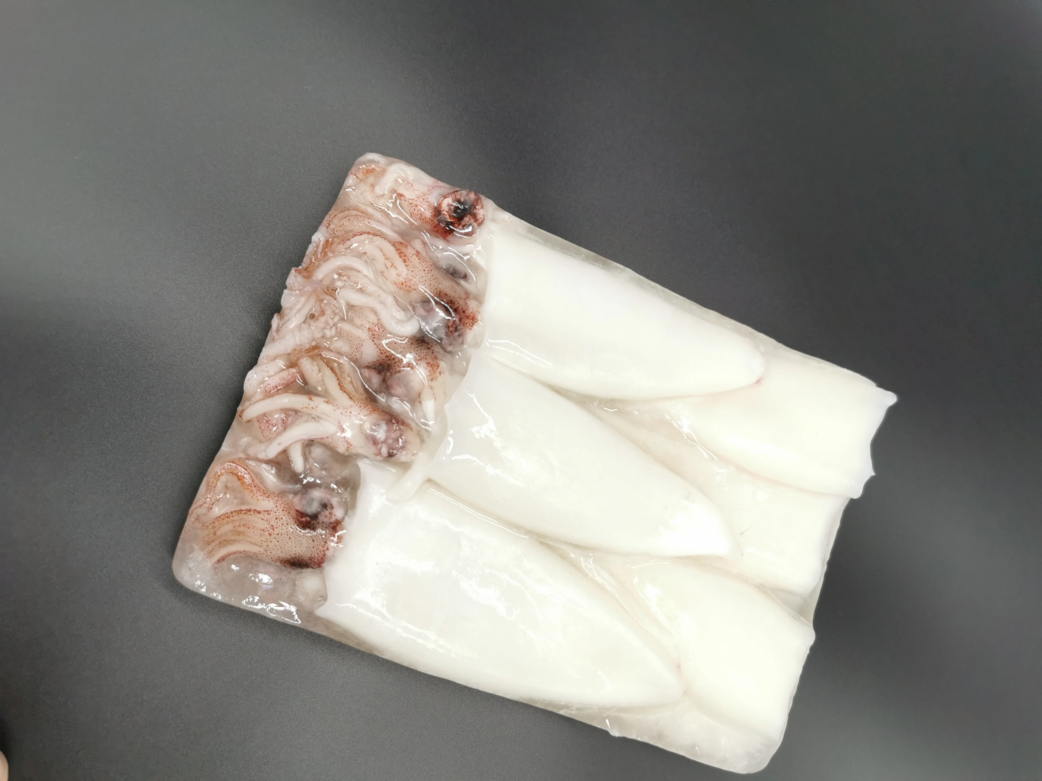 BQF baby squid  good price frozen loligo squid  on sale