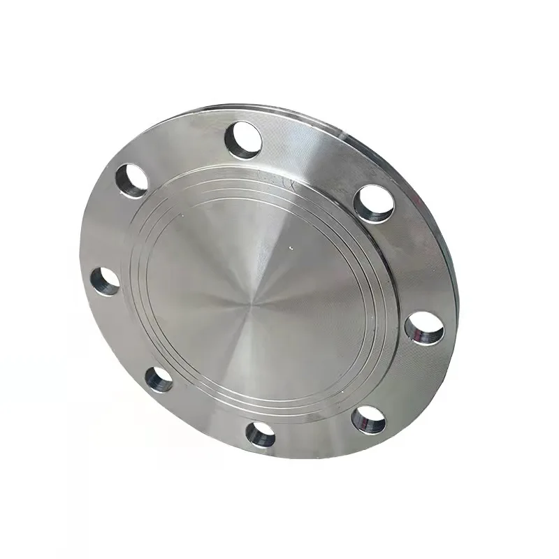 Hot selling Customized Flanges pipefittings carbon steel