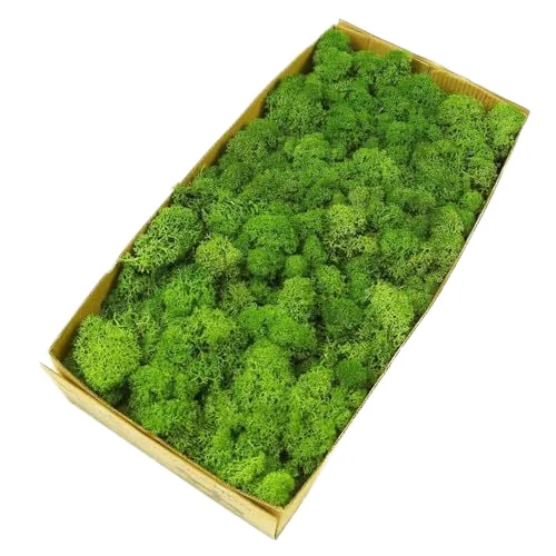 DIY Material Luxury Office Home Interior Decoration Green Real Natural Art Stabilize stabilized Reindeer Wall moss