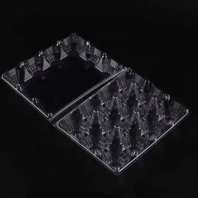New arrival 12 holes quail package egg box  plastic quail egg tray quail egg carton for sale
