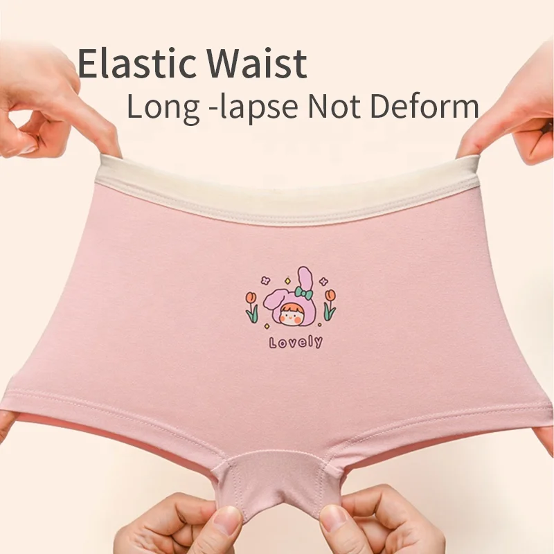 4 Pieces Wholesale Cute Cartoon Kids Underwear Set Cotton Child Briefs Baby Underwear for Girls Panties Unisex 100% Cotton 5000