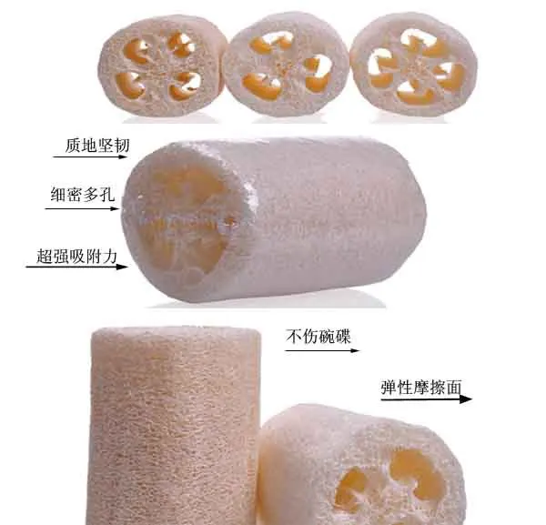 Natural Loofahs Sponge Eco Friendly Loofah Organic Exfoliating Shower Loofah Real Body Scrubbers Skin Face Back Bath