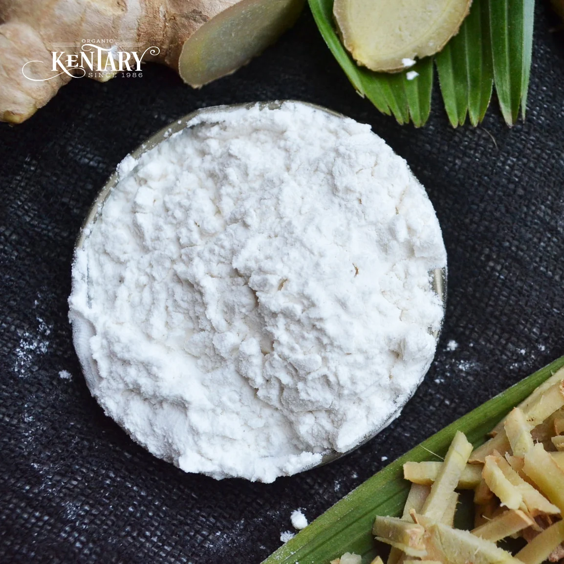 Ginger Extract Powder for Nausea Stomach Intestinal Cardiovascular Health Hight Quality Best Price Made in Vietnam