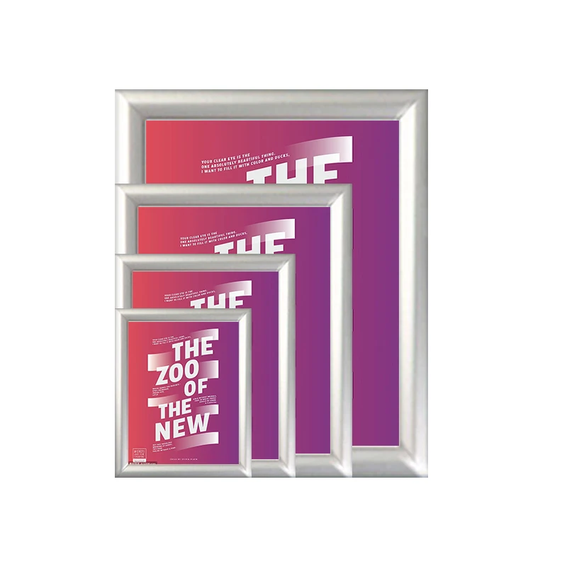 Display Solution Adjustable Poster Frame A0 A1 A2 A3 A4  Silver Frame for Outdoors and Inside