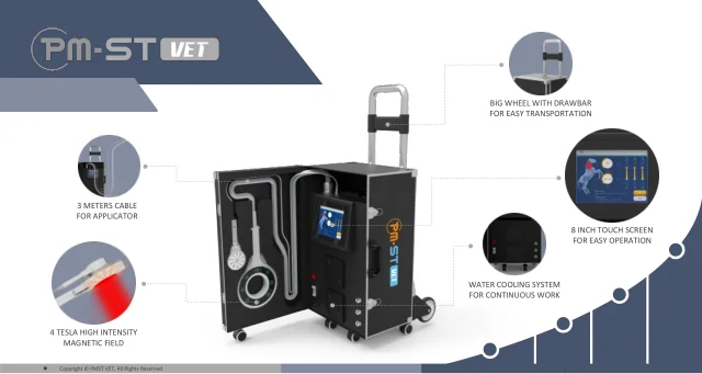 PMST-neo-vet