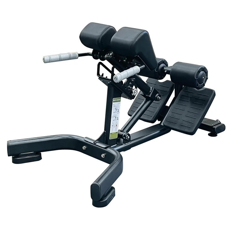 Commercial Home gym Roman Chair bench with strong back stretching frame for home workouts