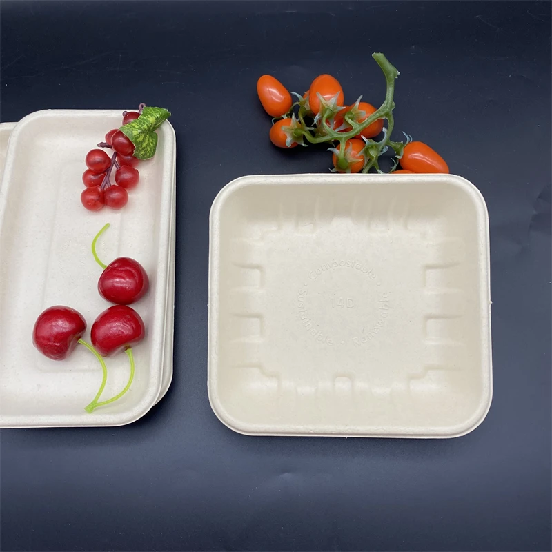 Biodegradable Paper Pulp Fruit Meat Tray Rectangle Square Disposable Food Tray