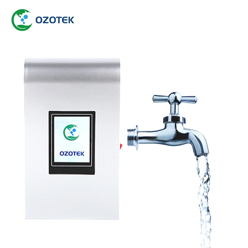  Ozotek прачечного eco озоновый TWO002 -17 0 2-1 PPM 200-900 л/ч для стиральной