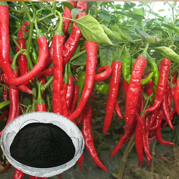 Potassium humate powder soil conditioner water soluable fertilizer with high water solubility and 65% humic acid