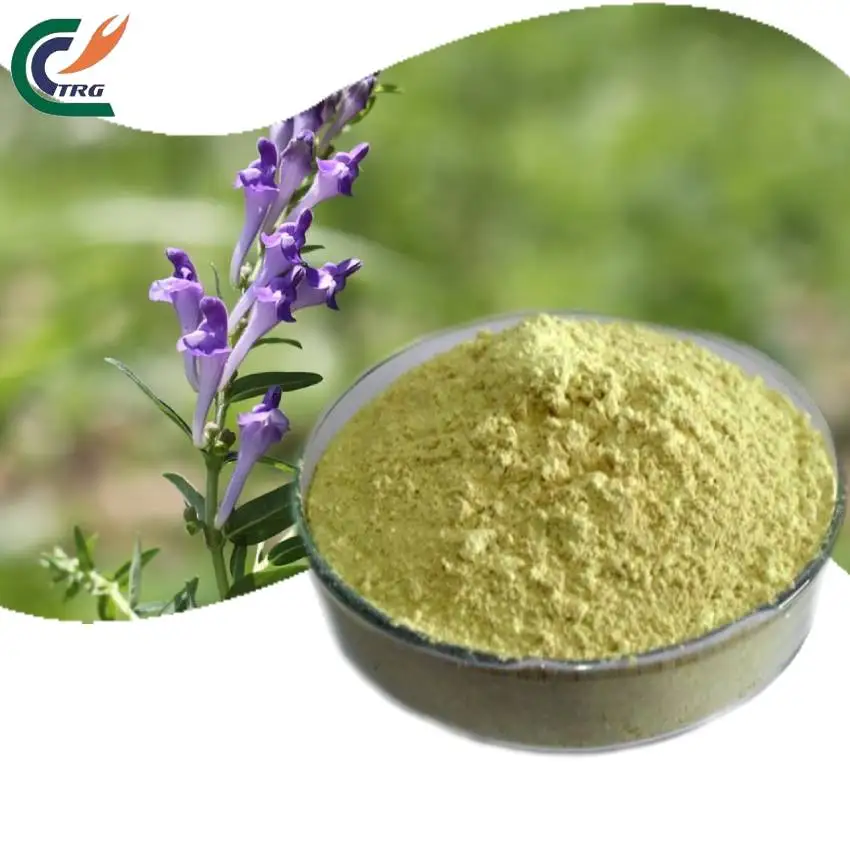 Natual Baicalin 80% 85% 90% Scutellaria Baicalensis Baical Skullcap Root Extract Powder