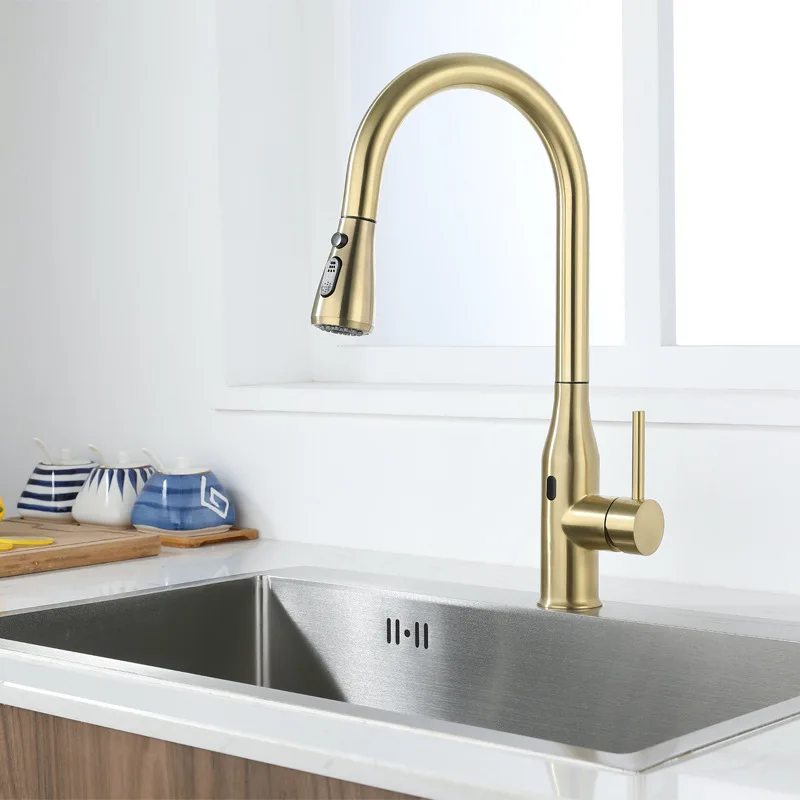 stainless steel 304 flex pull out two function Single handle Kitchen Faucet with quick connection