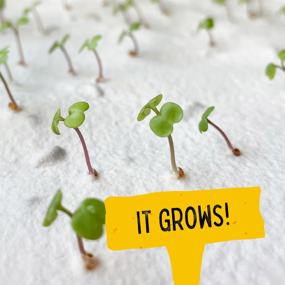 Custom ECO biodegradable labels swing tags Handmade paper hang tag For Clothing Garment