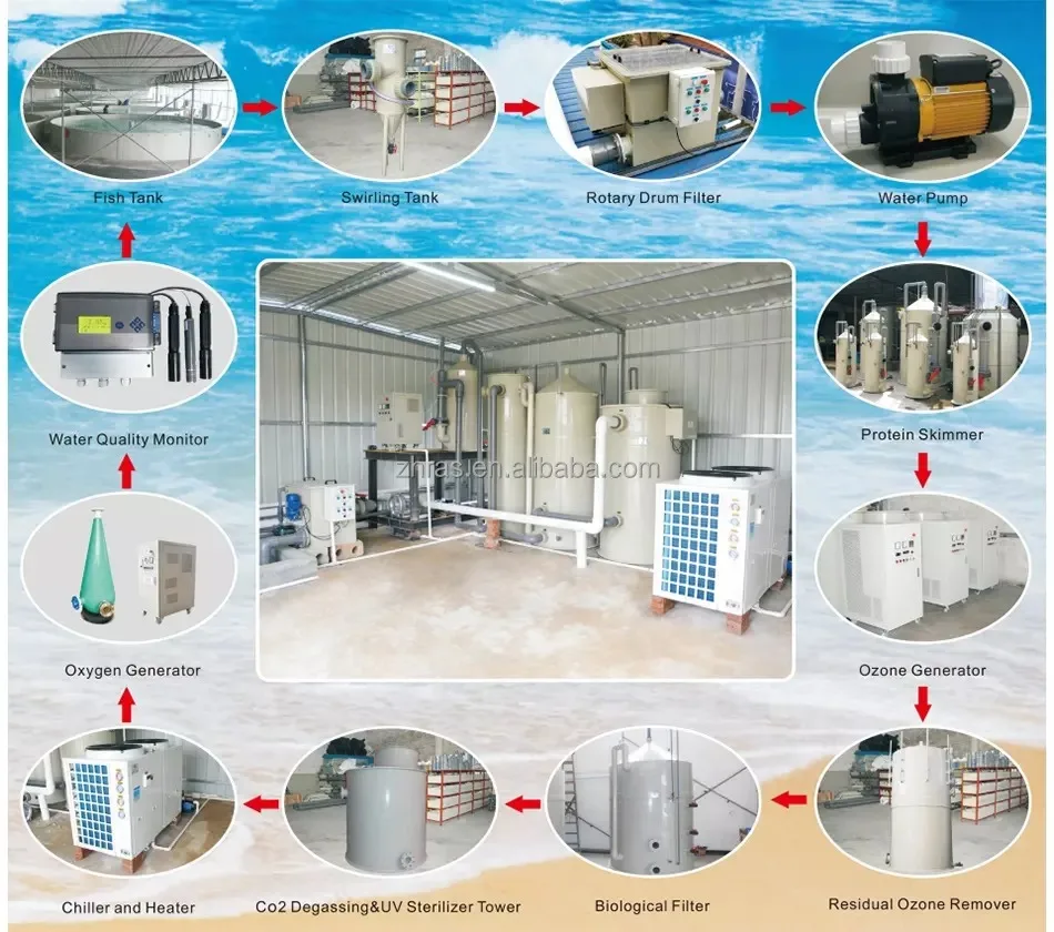 Factory price custom made high quality ras aquaculture system fish farming equipment full set for sturgeon breeding