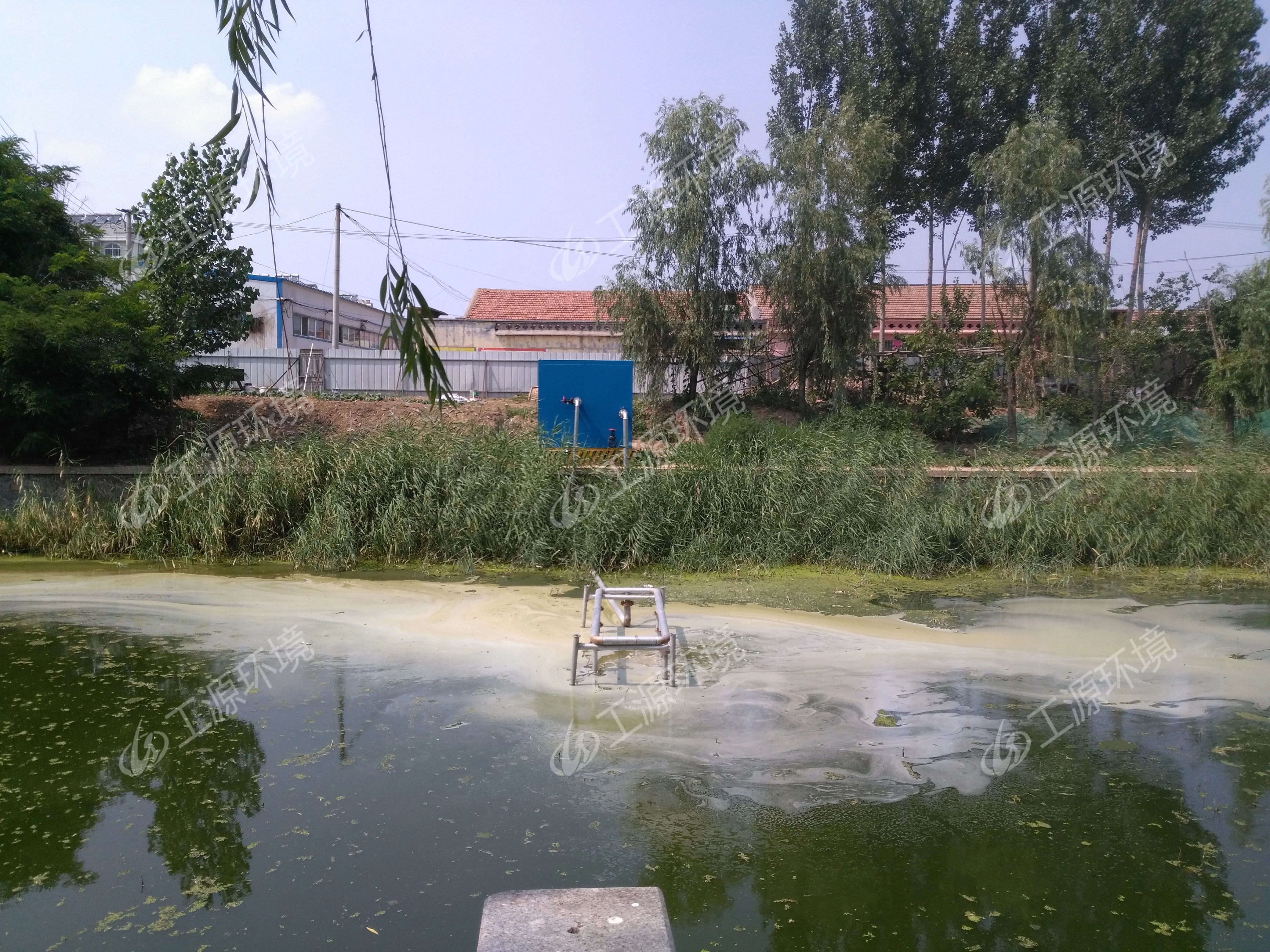 Water treatment machinery Micro nano bubble generator River purifying equipment