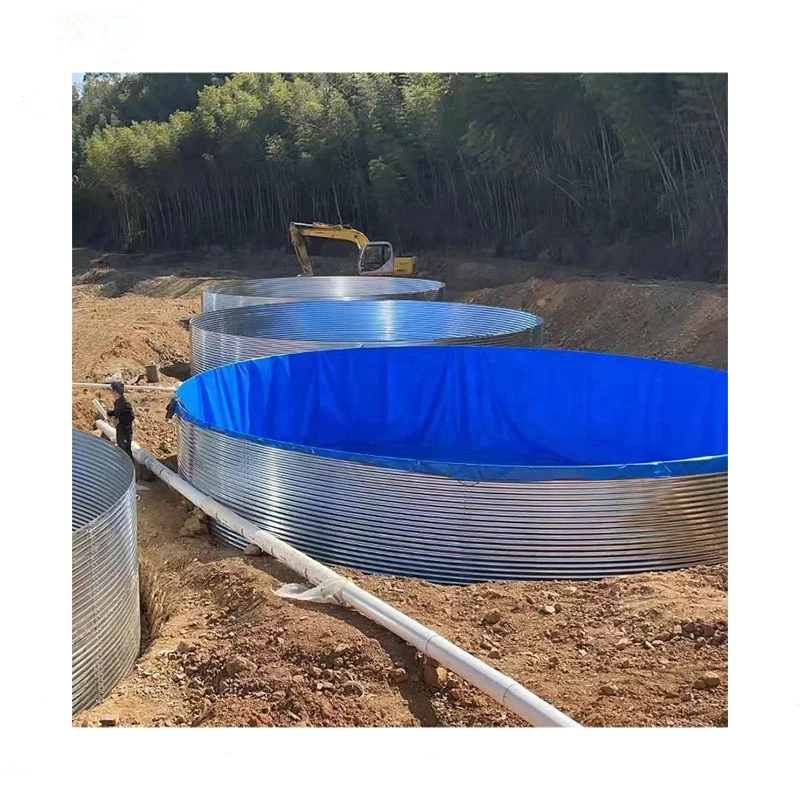 Фабрика по индивидуальному заказу рыба и креветки краб RAS Tilapia сельскохозяйственная рыболовная система оборудование для аквакультуры сельскохозяйственные