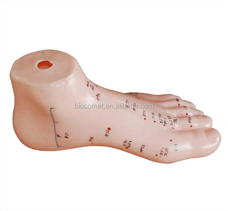 Foot Acupuncture Model 13CM PVC material foot acupoint model traditional chinese medicine massage