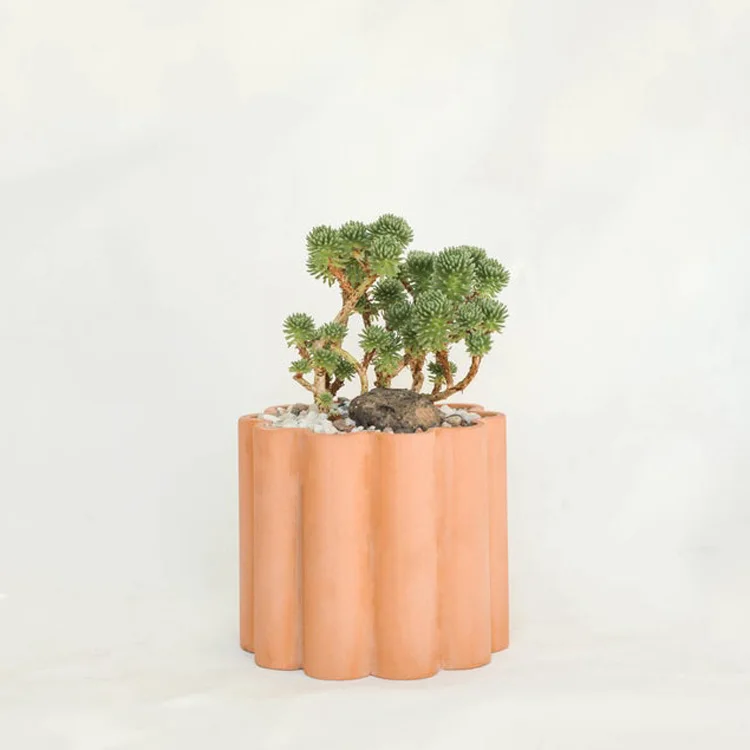 Small Succulent Pot Clay Plant pot Cute Mini Terracotta Planters pot