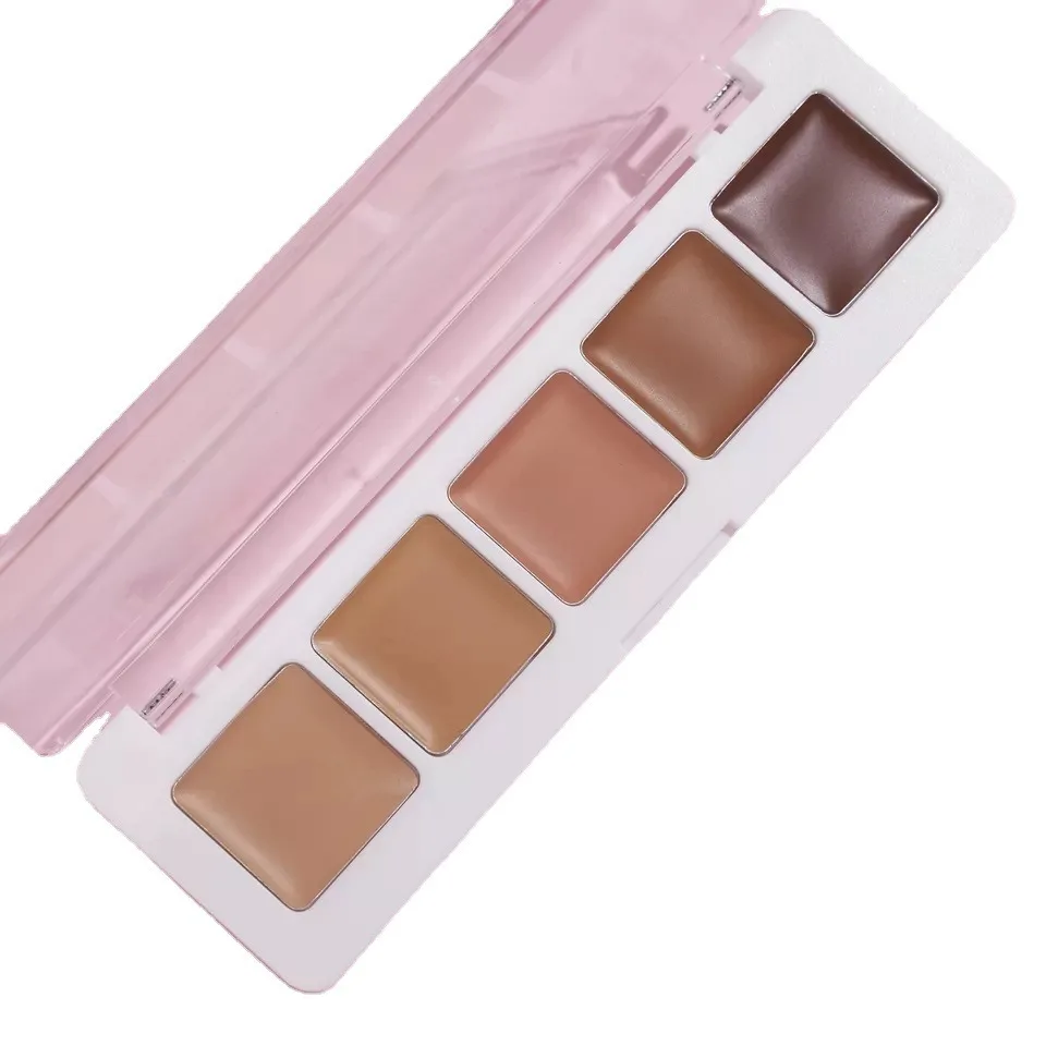 5 colors full coverage cream concealer private label white concealer palette makeup contour palette face concealer