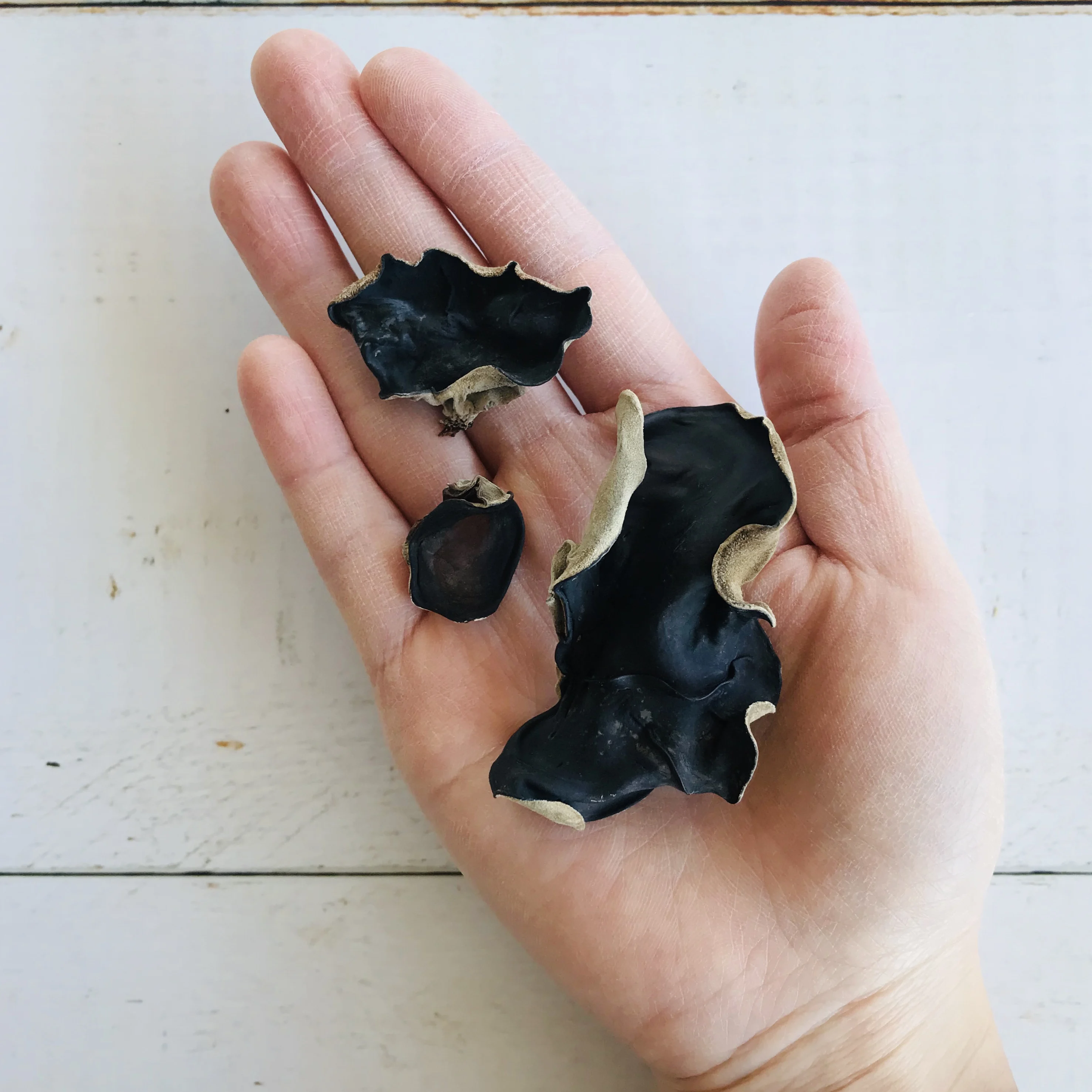 
Wholesale rich in dietary fiber mushroom ear the edible fungus prices 