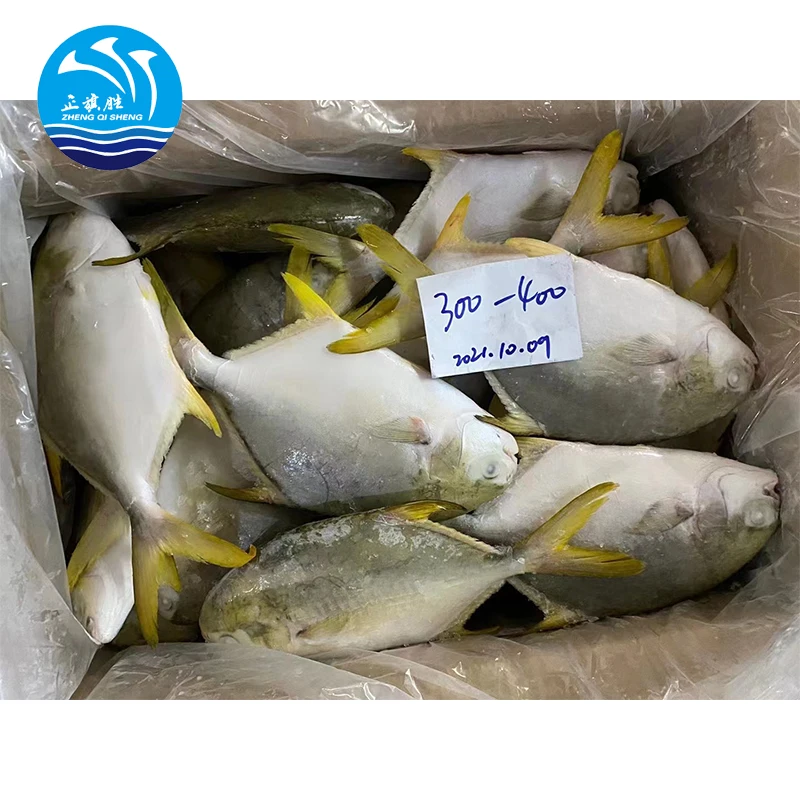 Quality seafood  frozen white pomfret fish pomfret fish price
