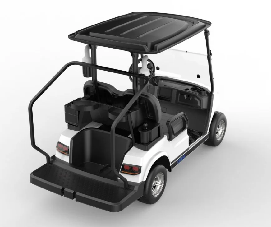 Deluxe 2 Seats Electric Golf Cart Lithium Battery Lead Acid Battery