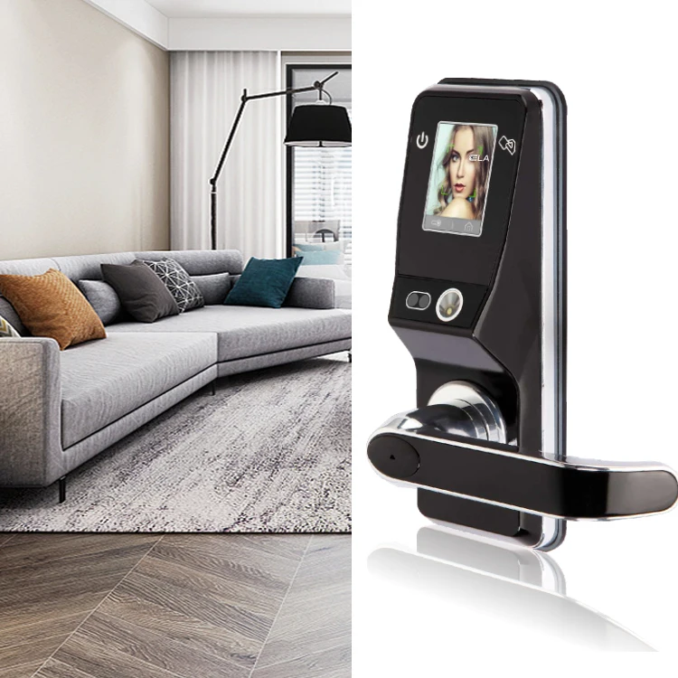 
High quality Face Recognition home security smart biometric eye scanner rfid card password door lock with camera 