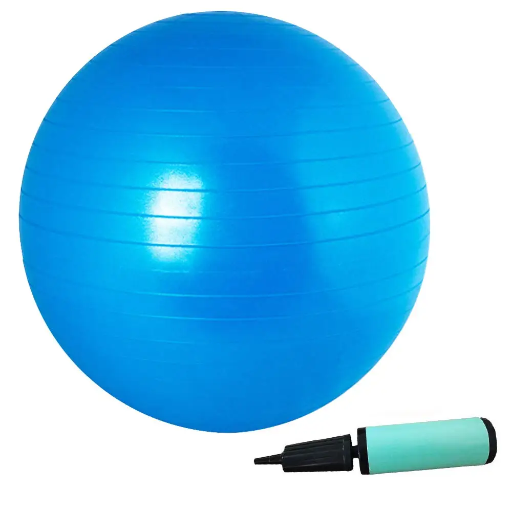 65cm yoga ball gym ball swiss ball with hand pump