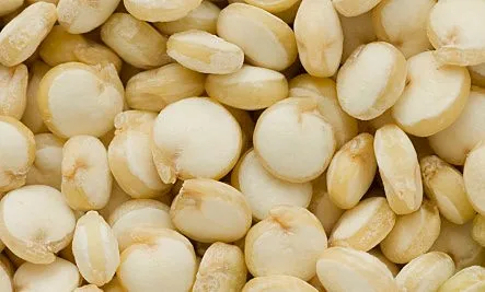 Top Supplier of Quinoa Fruit From India Manufactured Product