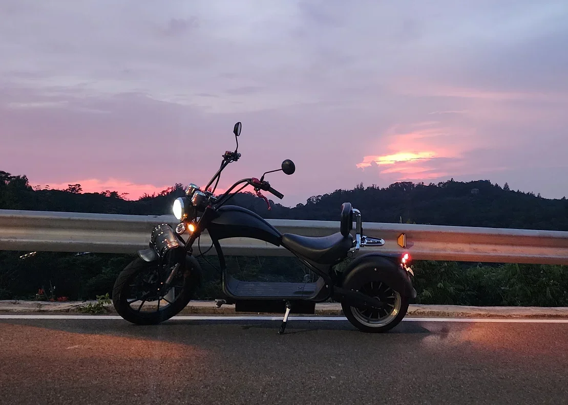 Europe EU COC EEC DOT Drop shipping Electric Ruckus Scooter Mini Citycoco Off Road Motorcycle