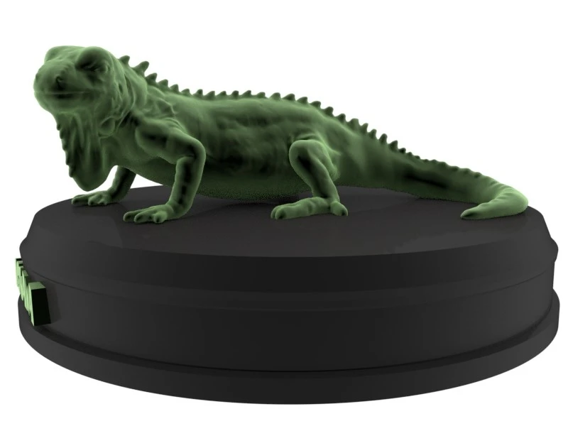 3D Iguana 3D3.jpg