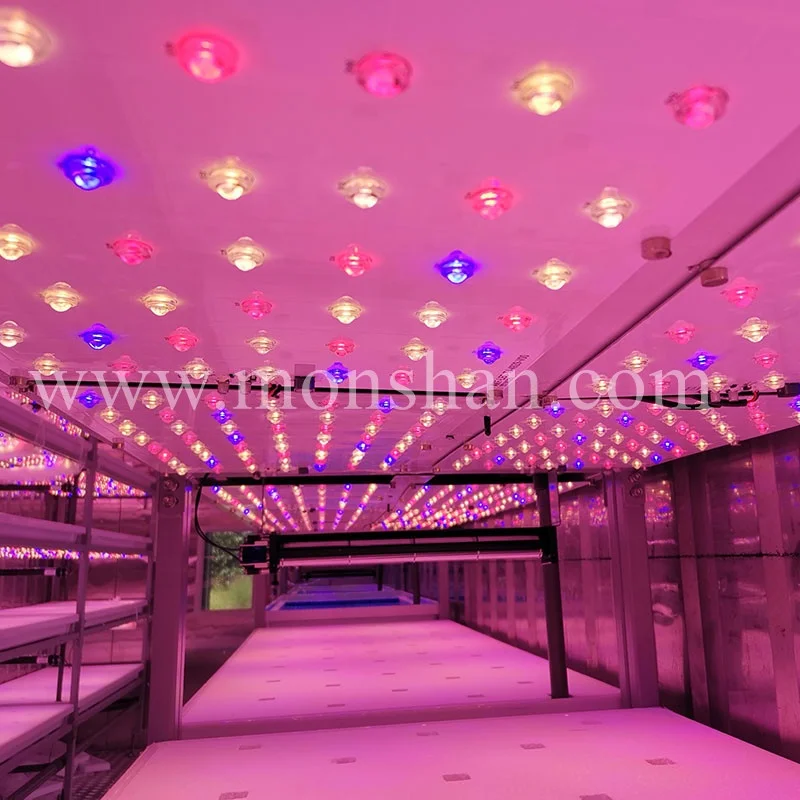 Shipping Container Plant Factory For Hydroponic Microgreen Farm