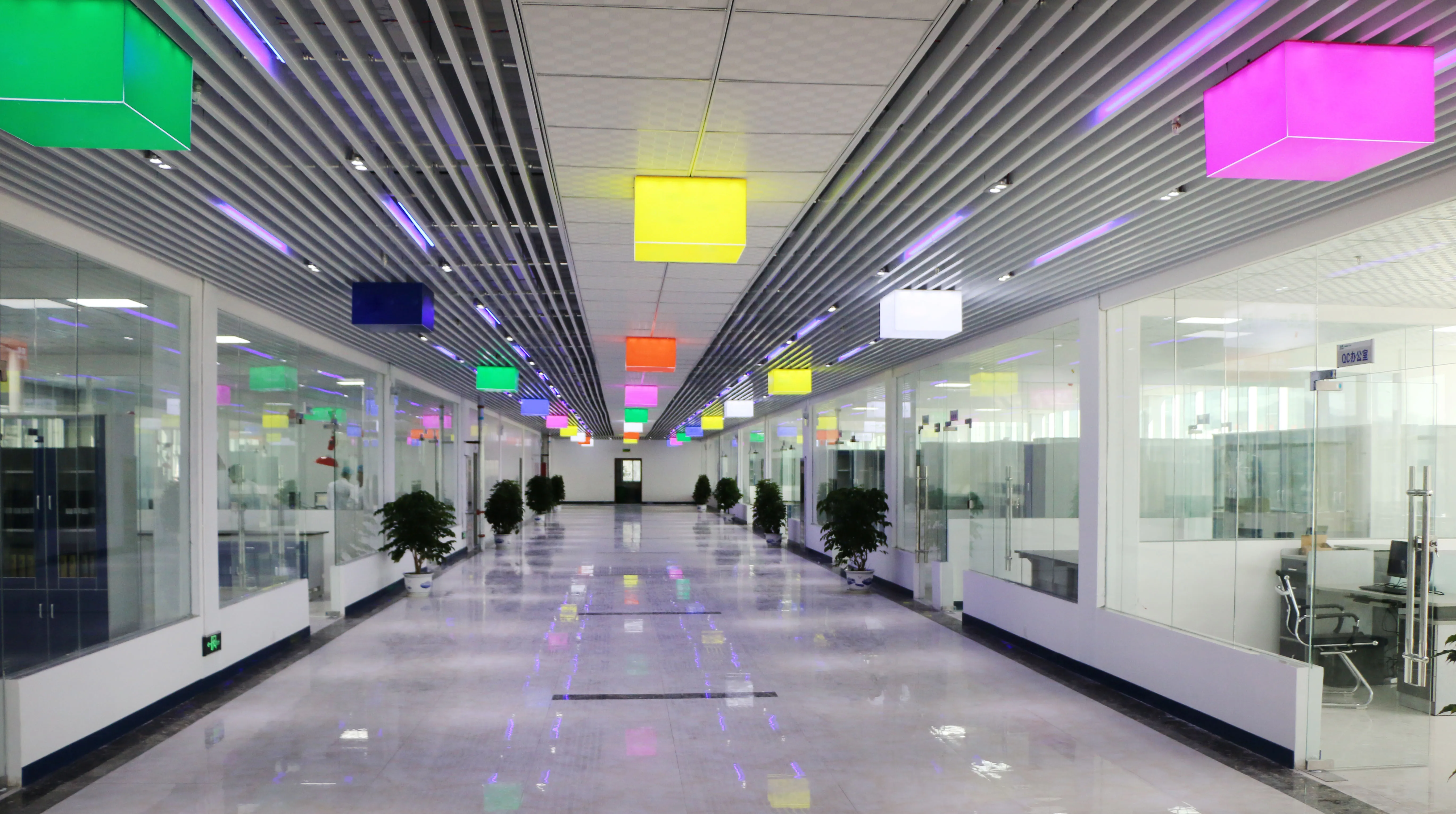 buy factory price Myricetin extract Myricetin 98% Myricetin 90%