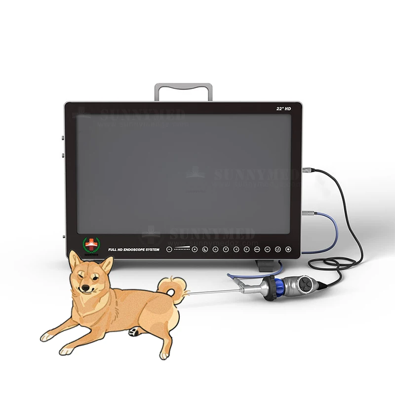 SY-PS050 Integrated Professional Endoscopy Camera System Portable Ent Endoscopic With Light Source for Vet