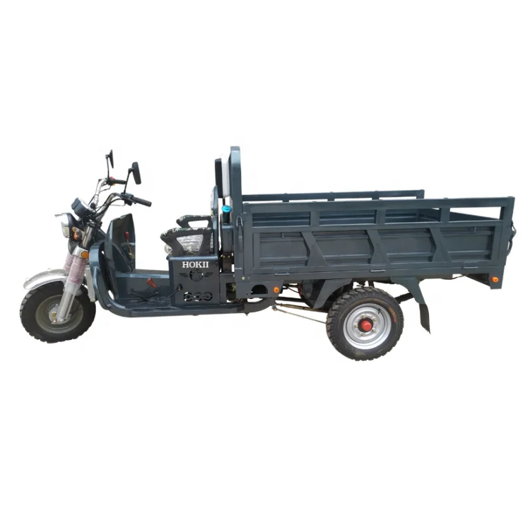 Handicapped Motorized Tricycle Three Wheel Gasoline Motorcycle Luxury Tricycle Motorhome