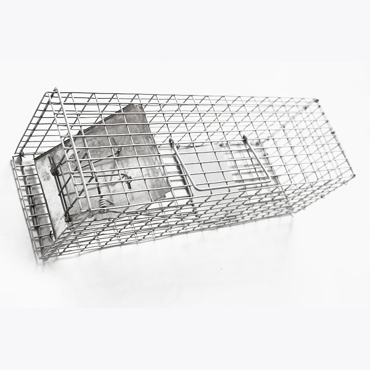 Professional Pest Control Factory Humane Large Live Animal Wild Animal Trap