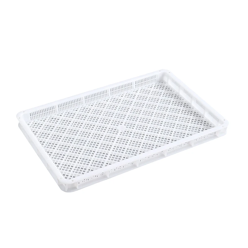 ENLIGHTENING-PLAST wholesale Widely used drying with tray dry fruit white tray for drying pasta Spaghetti nuts