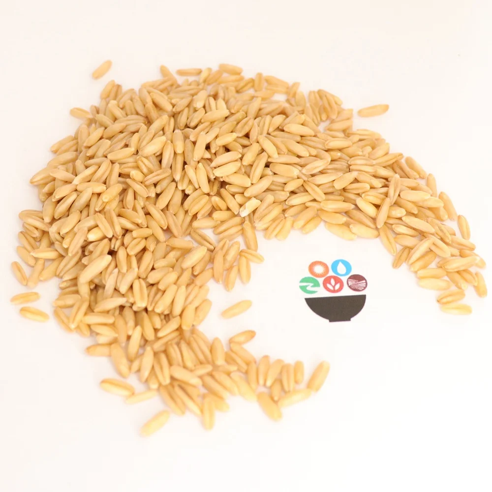 China Origin Oat Nihewan High Quality Groats Grain Oats