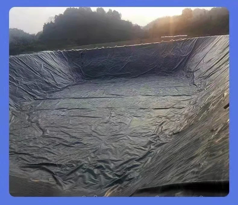 Polyethylene geomembrane fish pond waterproof aquaculture black HDPE impervious membrane