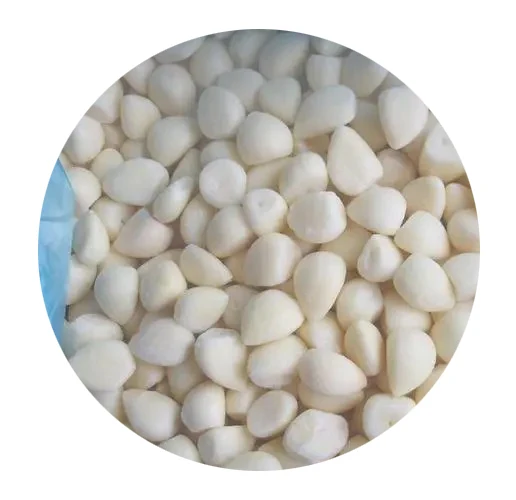 Selected Quality IQF Frozen garlic cloves of Garlic hometown proccesser with Halal/BRC/GAP/Kocher Approved Frozen garlic