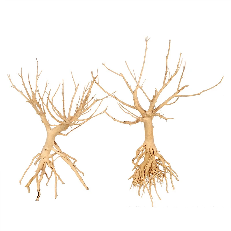 Natural aquarium landscaping Small Brazilian Bonsai Tree driftwood aquarium bonsai tree
