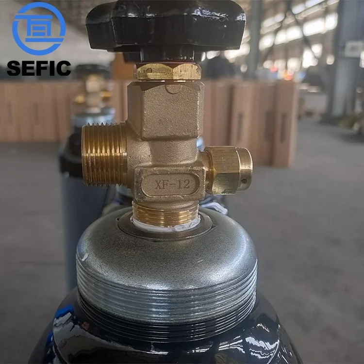 Tped Iso Certificate 10l 150bar Refillable Empty High-Quality Steel Tped CO2 Gas Cylinder For Asia Market