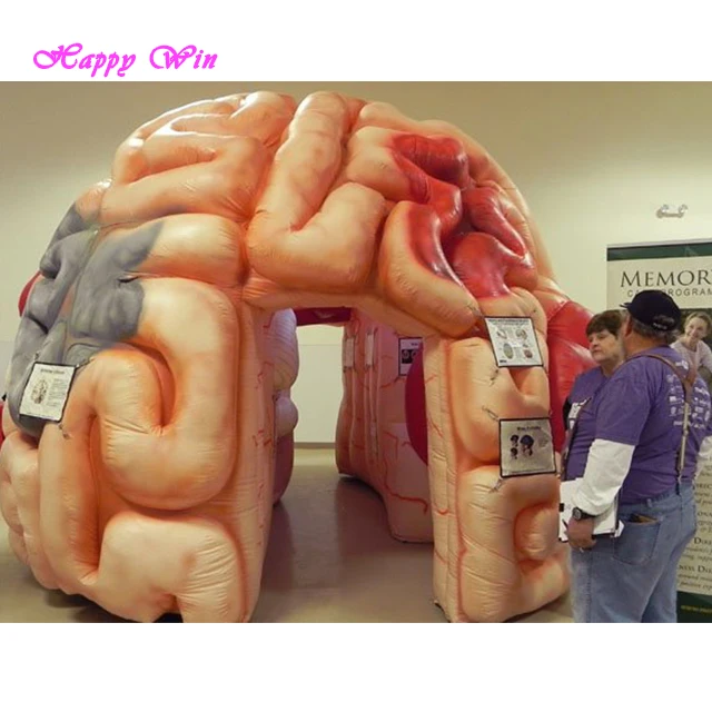 Attractive giant inflatable brain model customized inflatable organ brain model for display