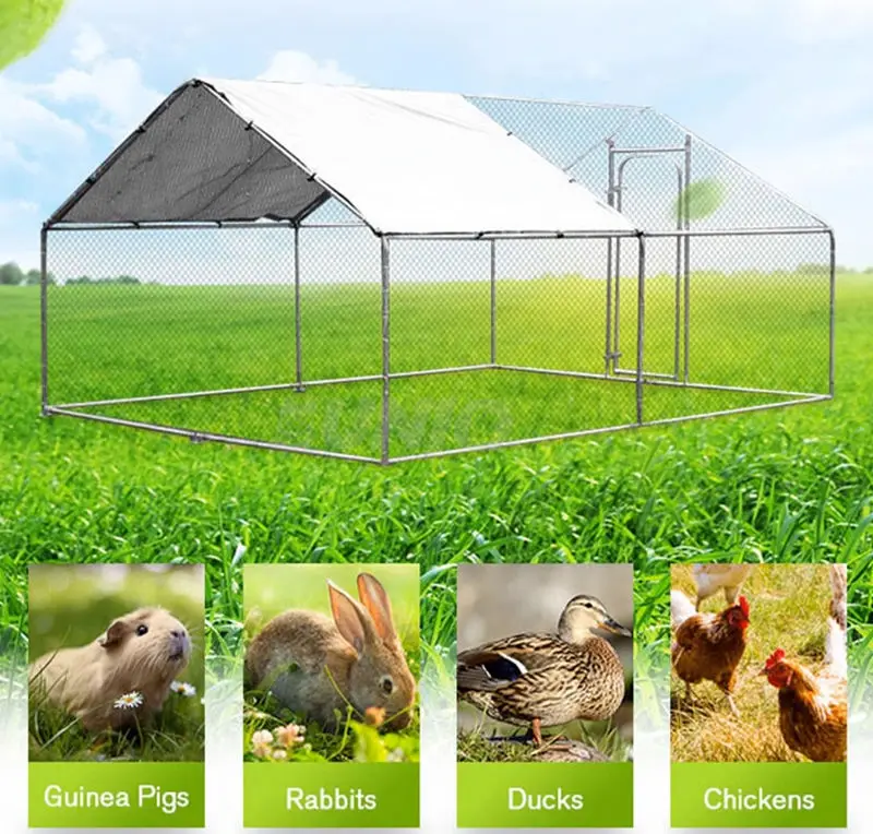 Very Durable 6M Home Use Small Design Chicken House Cage For 1000 Chickens Coop